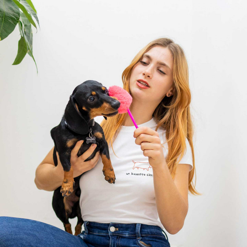 The Bassotto Ciccione