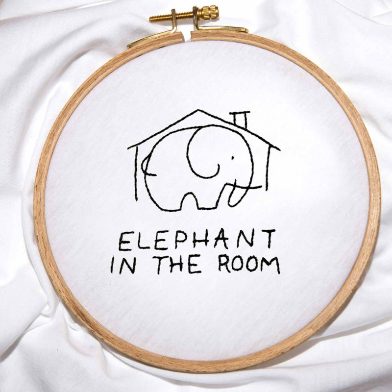 The Elephant in the room